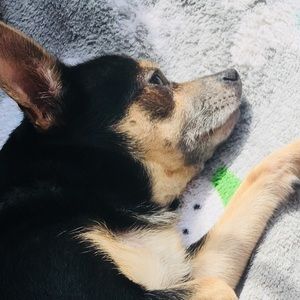 Meet your Posher, Savannah